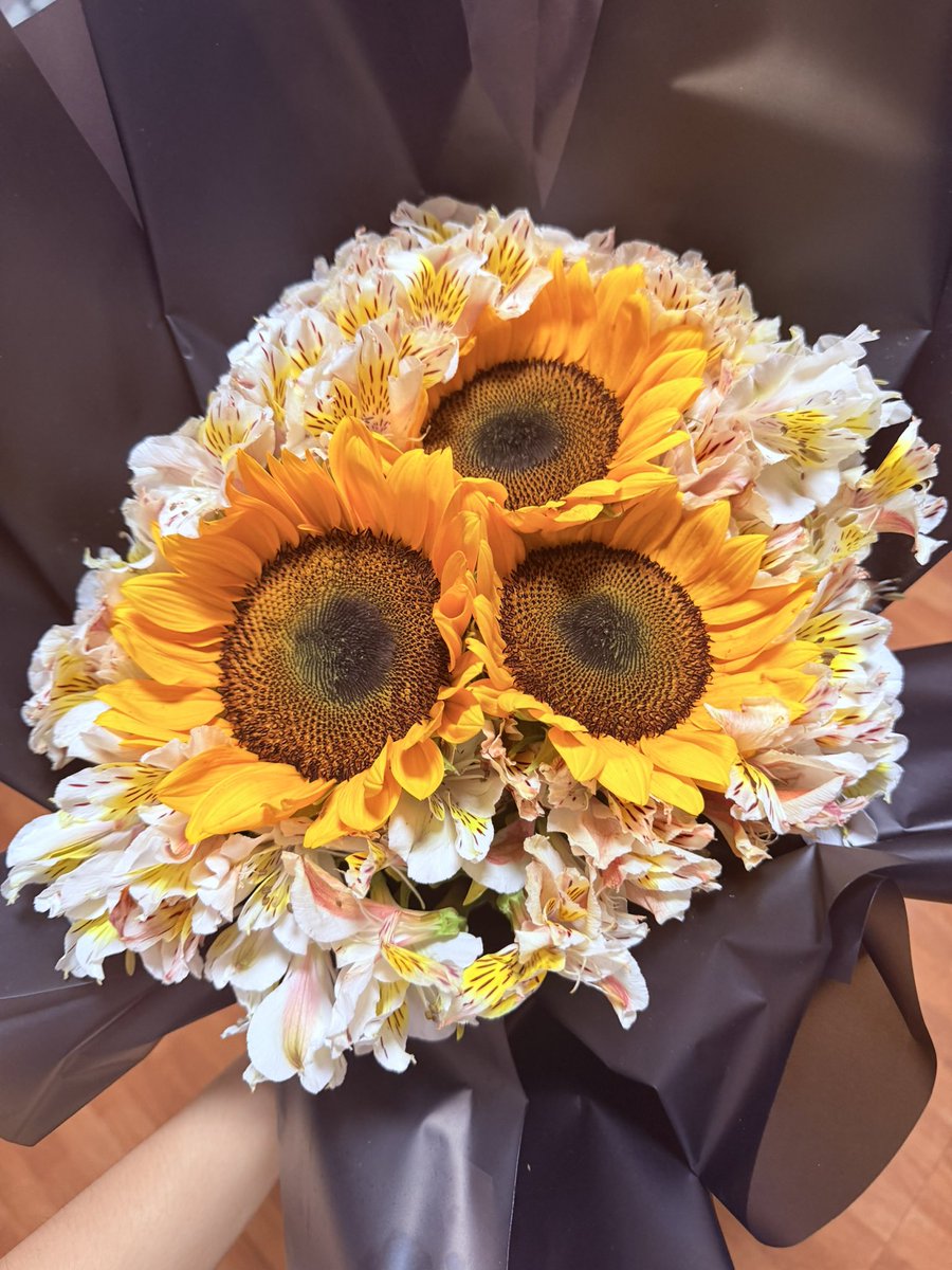 Arisse/cms open! tweet media