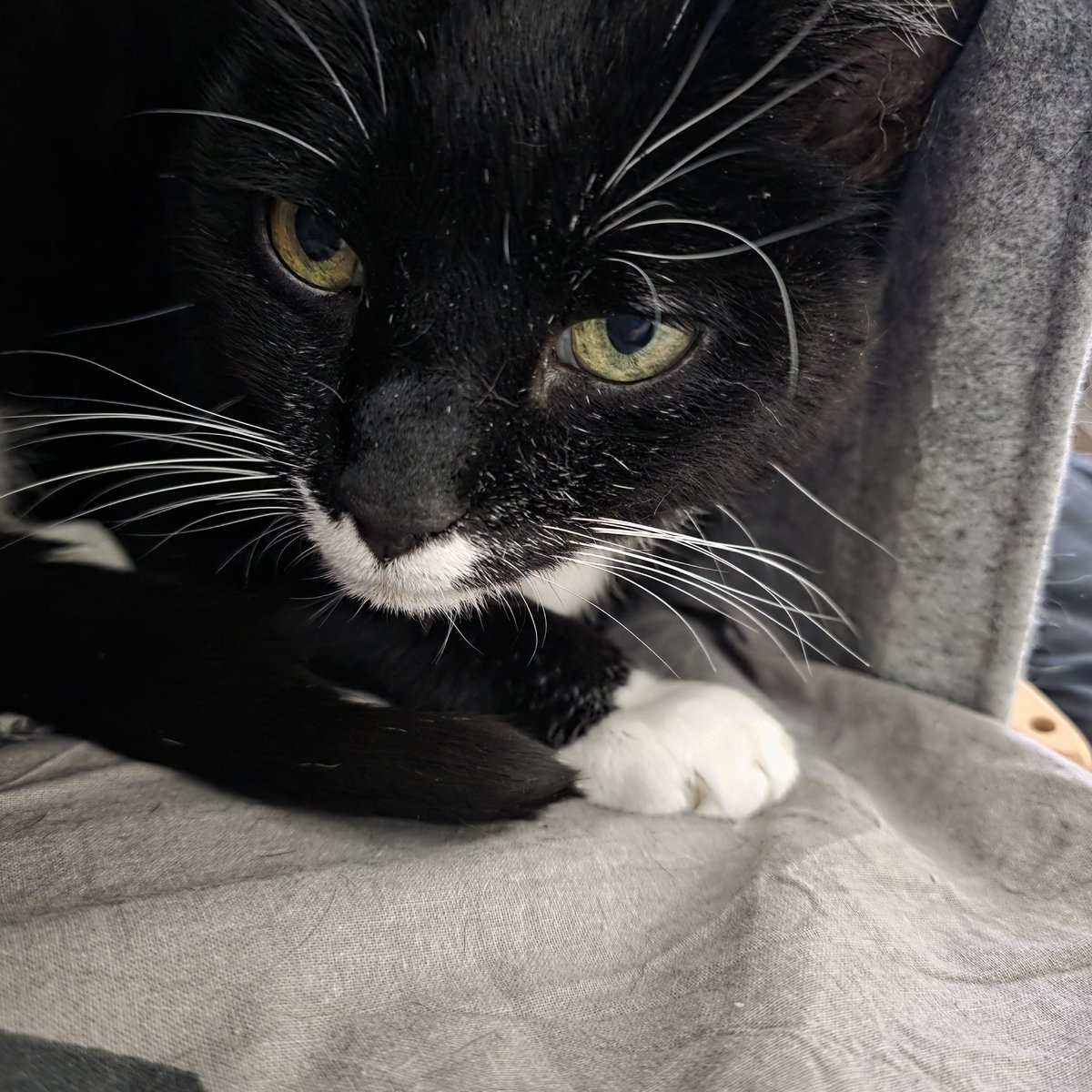 moni - monivida.bsky.social tweet media