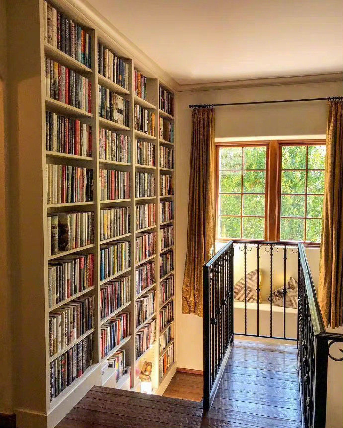 tim nolan tweet media