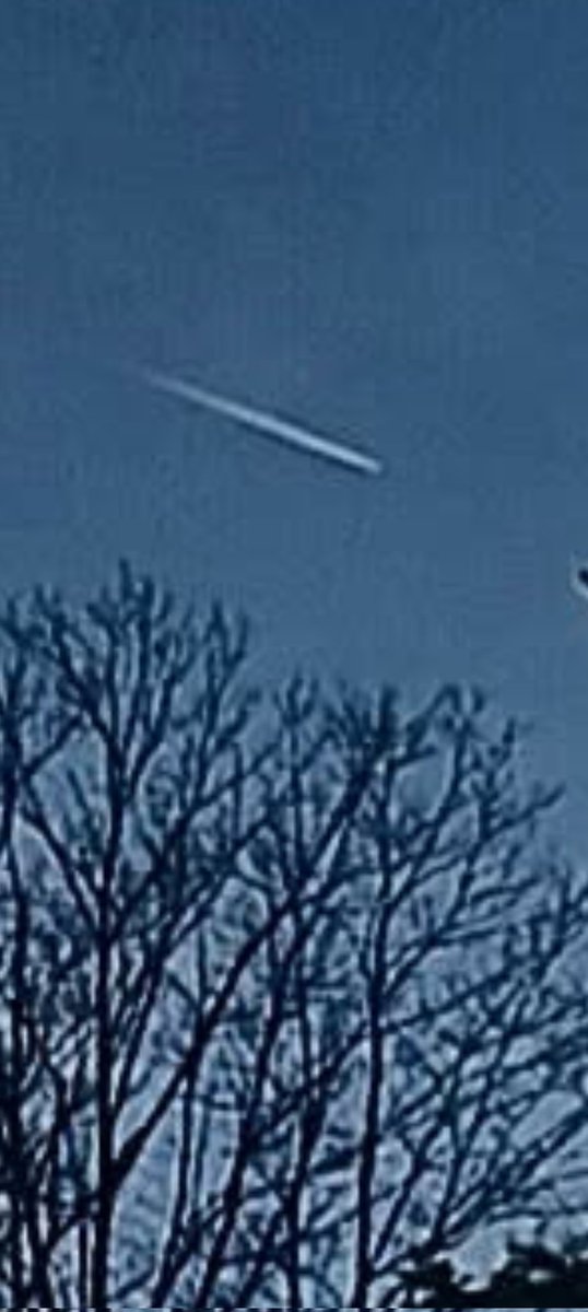 OldBenzSam tweet media