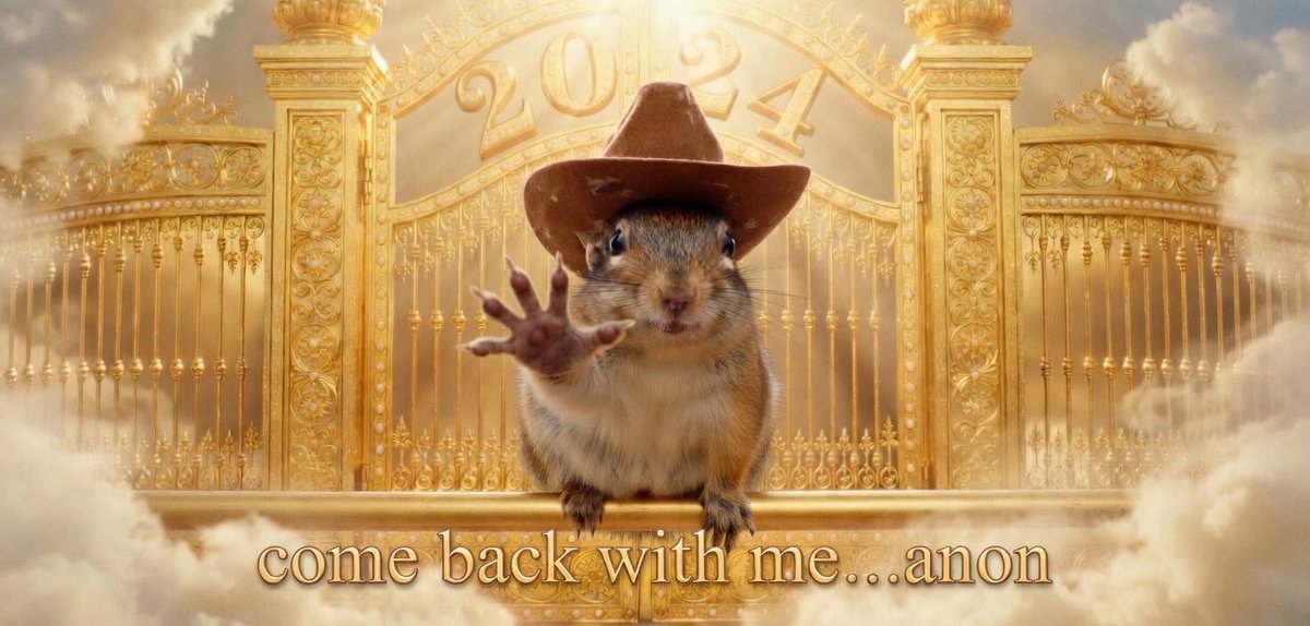 Imported.SOL tweet media