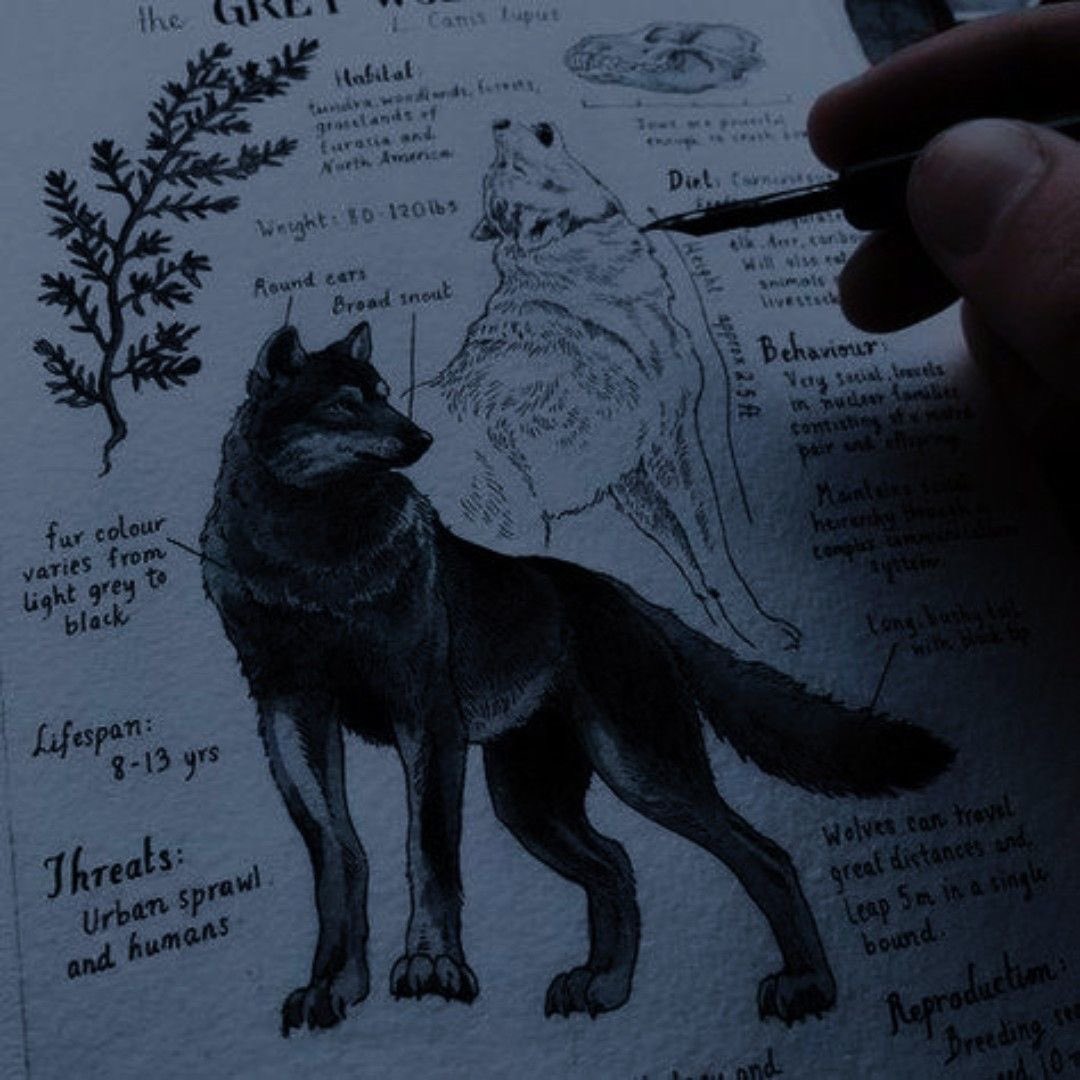 meg ❀⋆.˚ 𓇼 tweet media