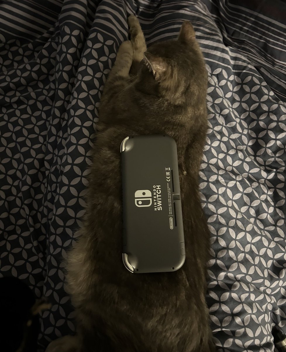 isaure ཐི༏ཋྀ tweet media