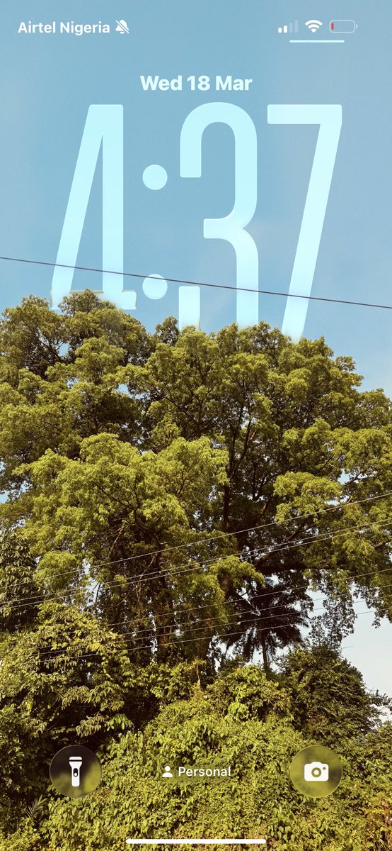 Thaniel 🪽 tweet media