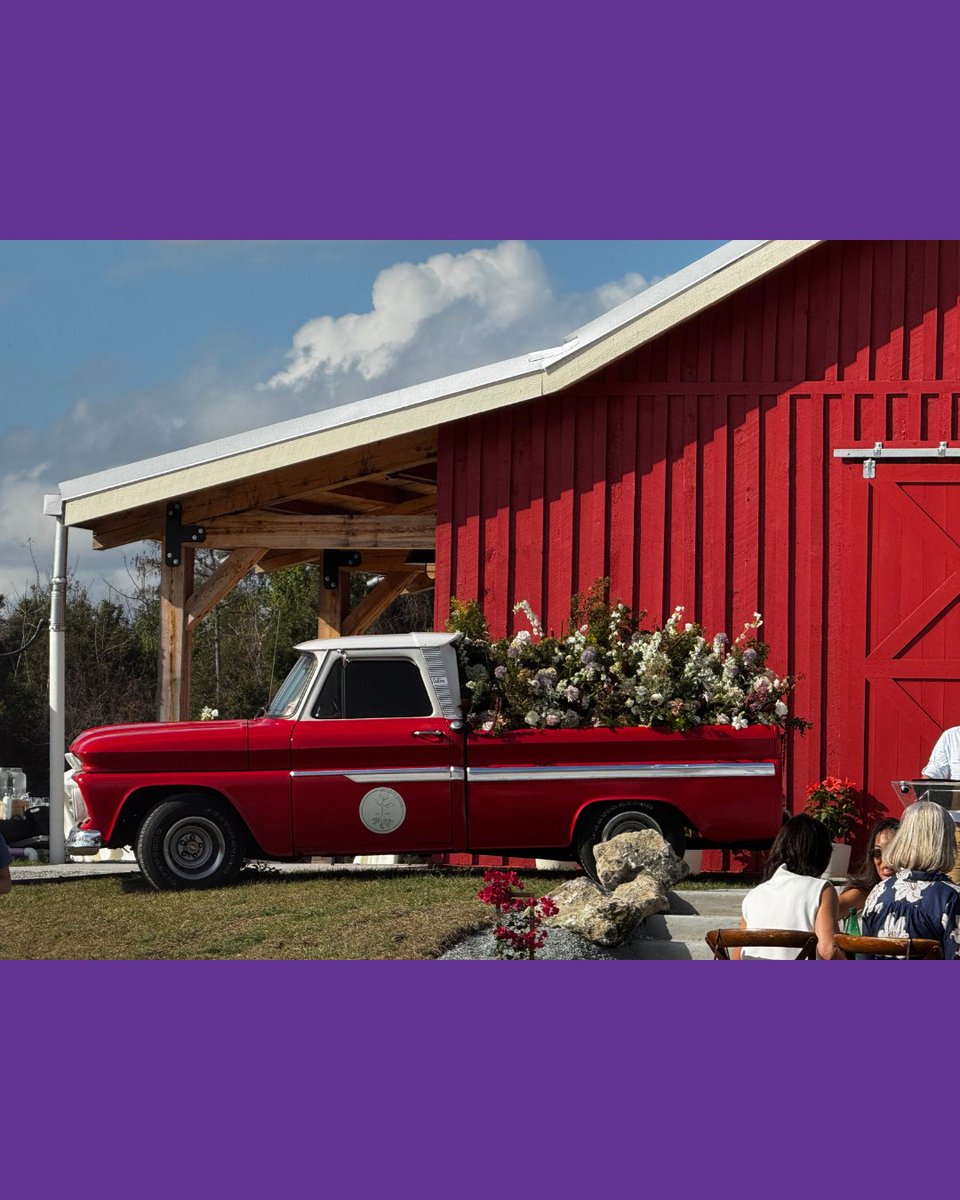 Stephanie Murphy tweet media