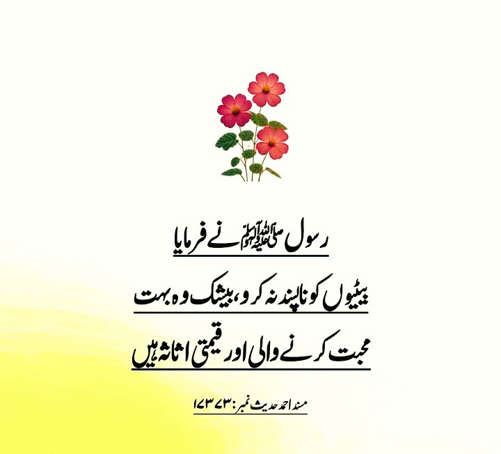 🌸Ameer khan 🇵🇰 tweet media