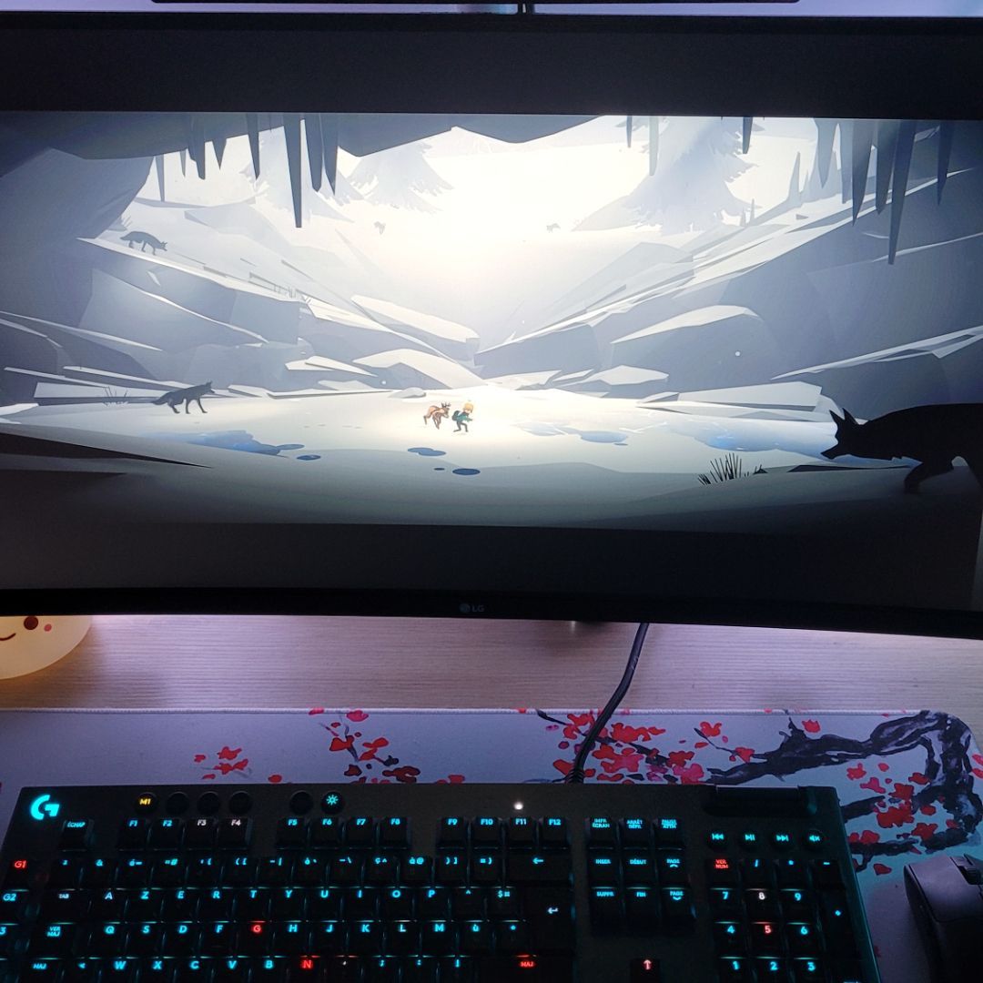 Deer & Boy 🦌 tweet media