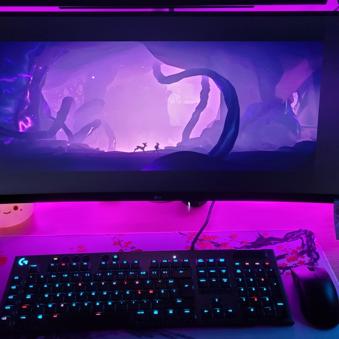 Deer & Boy 🦌 tweet media