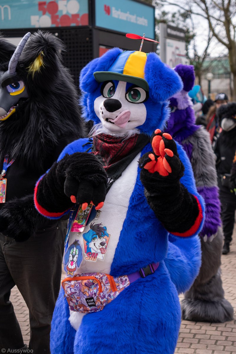 Saiiii 🔜 FE tweet media