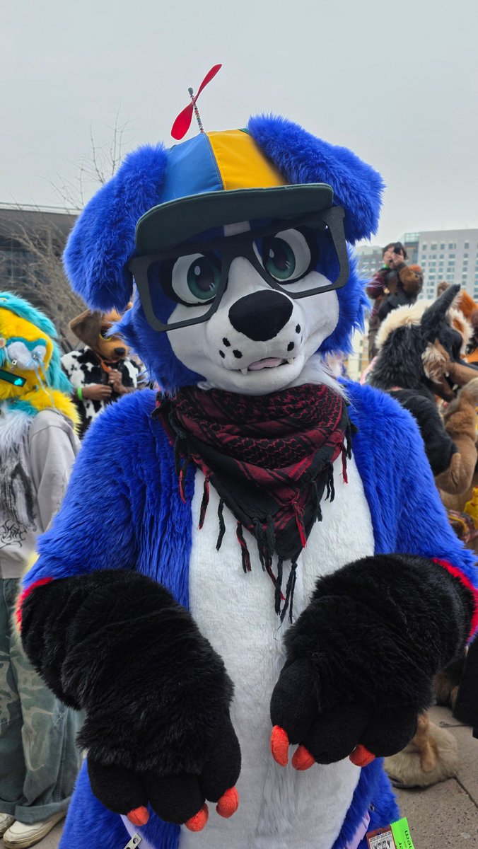 Saiiii 🔜 FE tweet media