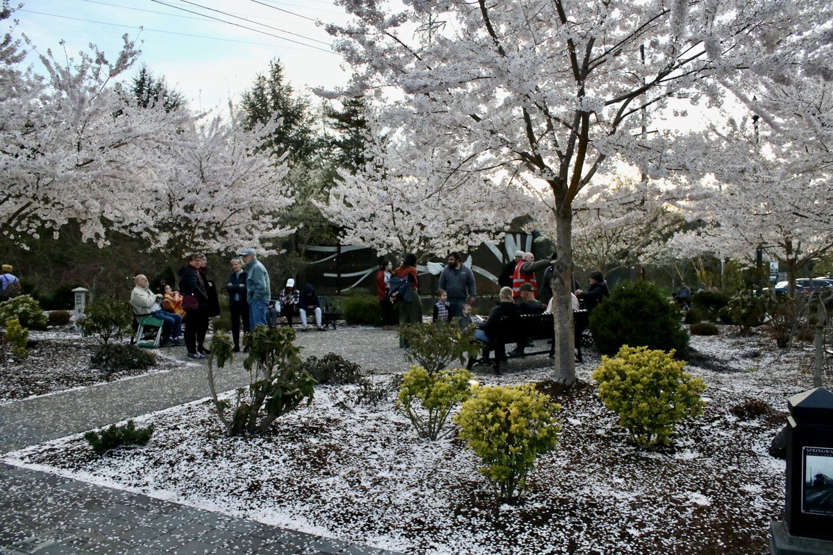 The Gresham Outlook tweet media