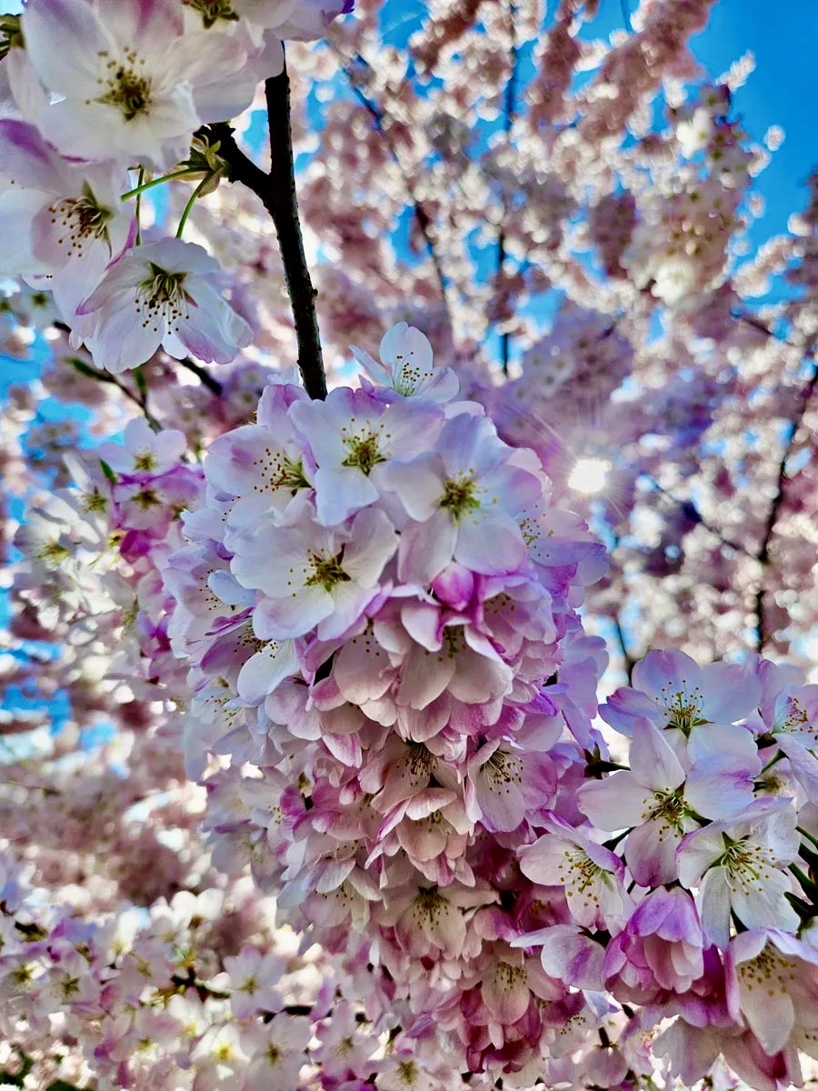 The Gresham Outlook tweet media