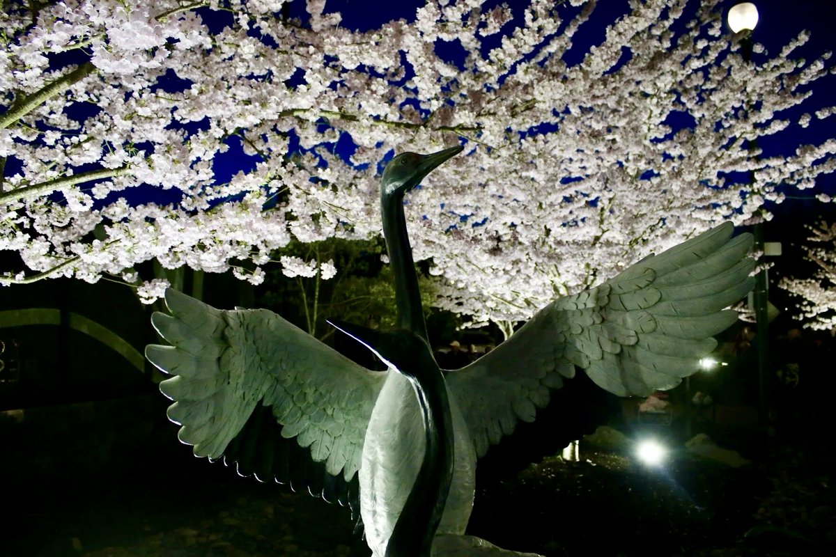 The Gresham Outlook tweet media