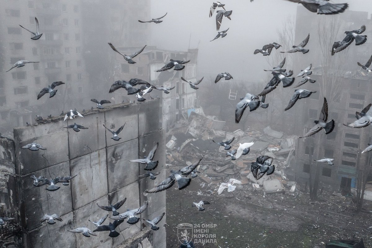 Desiderius | Casus Belli 2014 tweet media