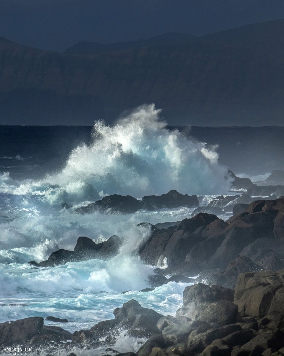 Andrija Ilic tweet media