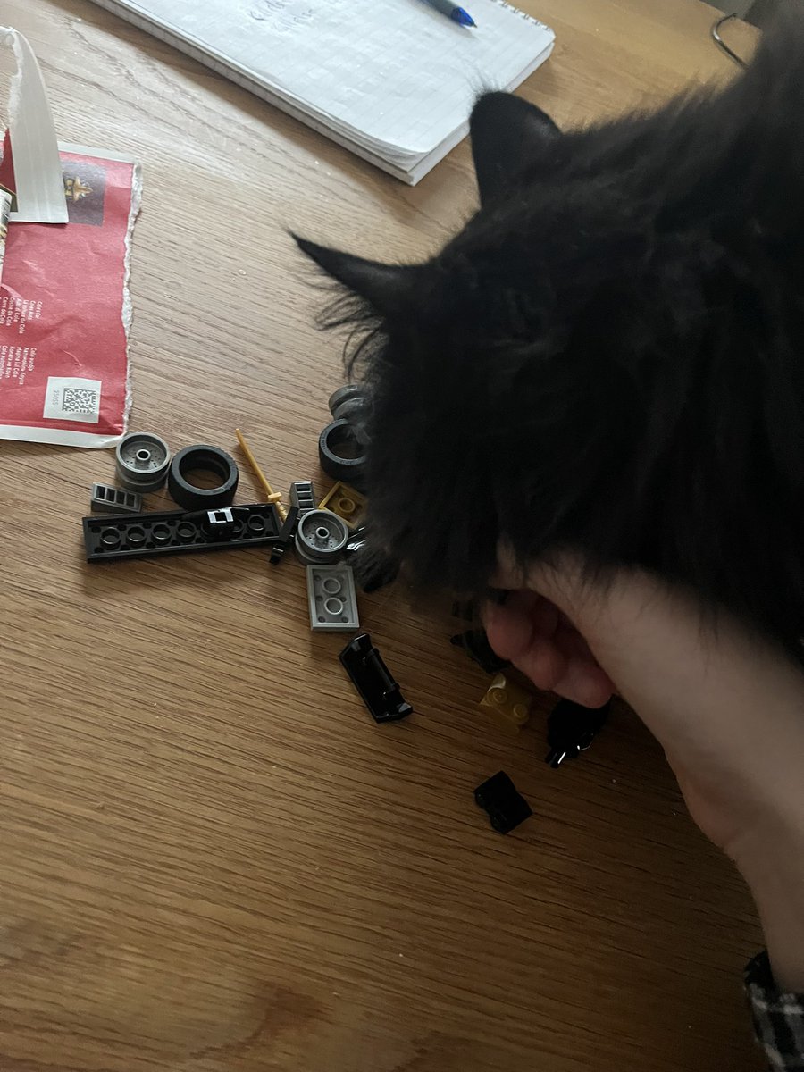 mini/Twig🌶️🪵🍃 tweet media