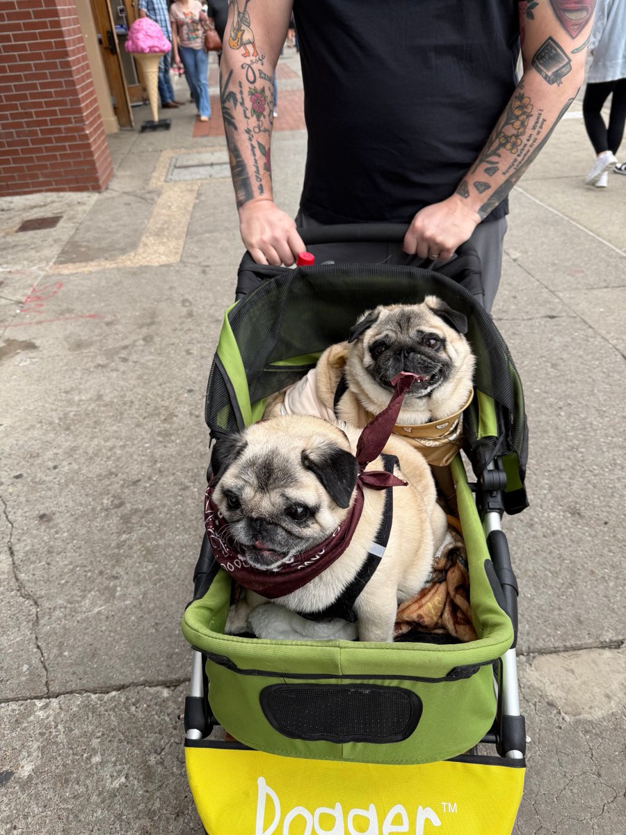 killers ms. tweet media