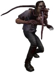 Providence #87 tweet media