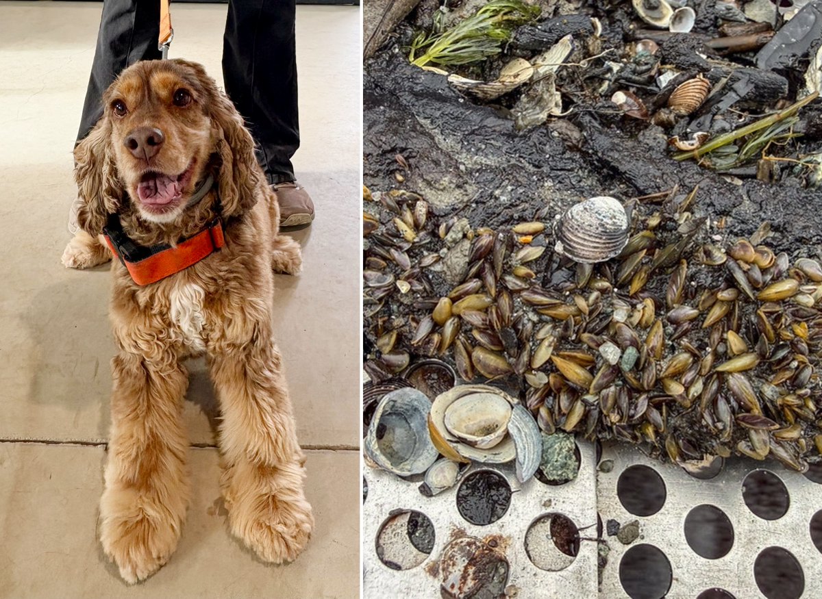 Vicky Boyd tweet media