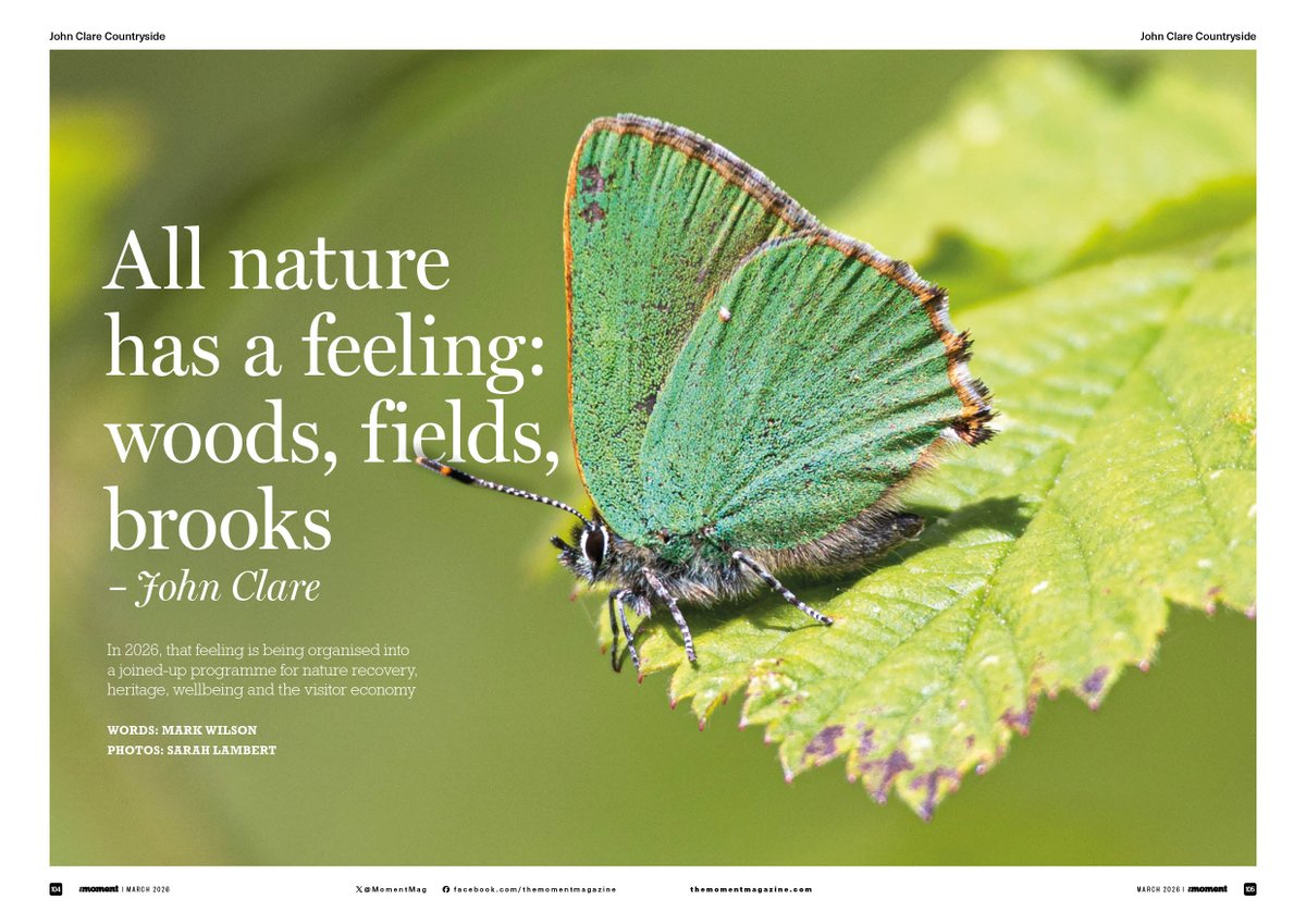 The Moment Magazine Peterborough tweet media