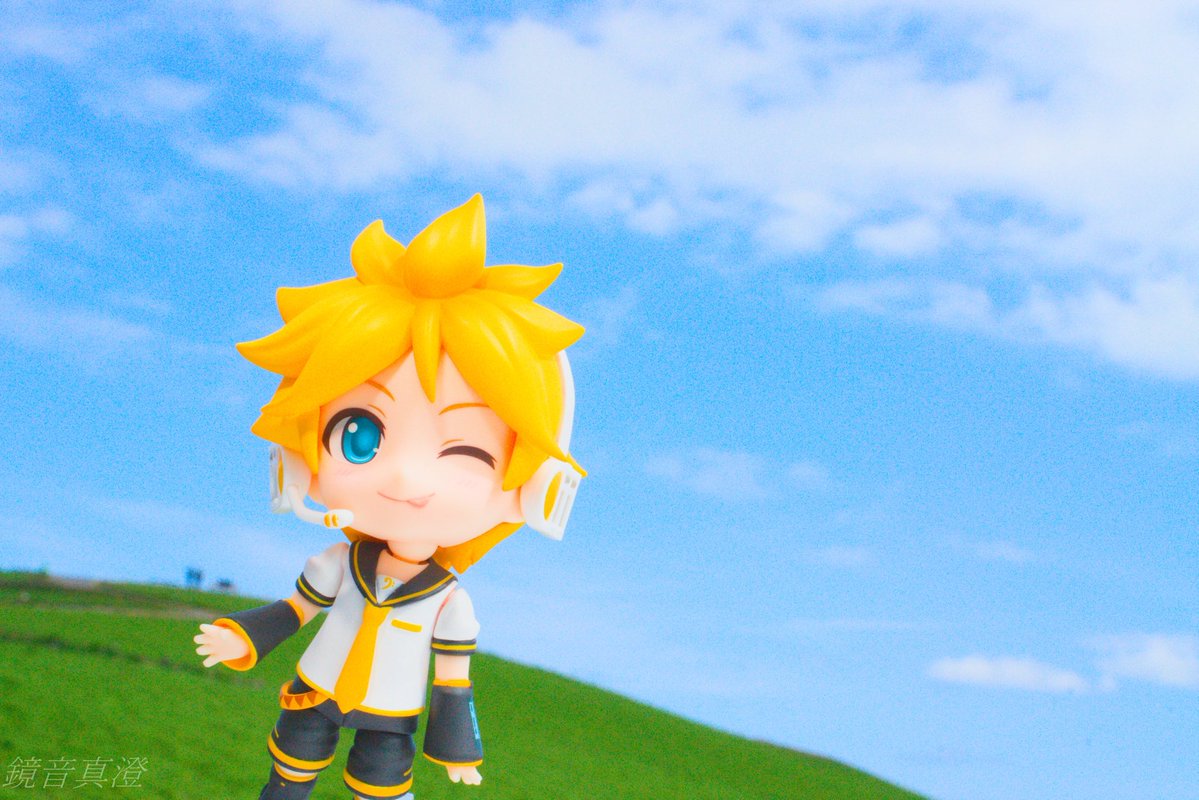 ぴよぴよB tweet media