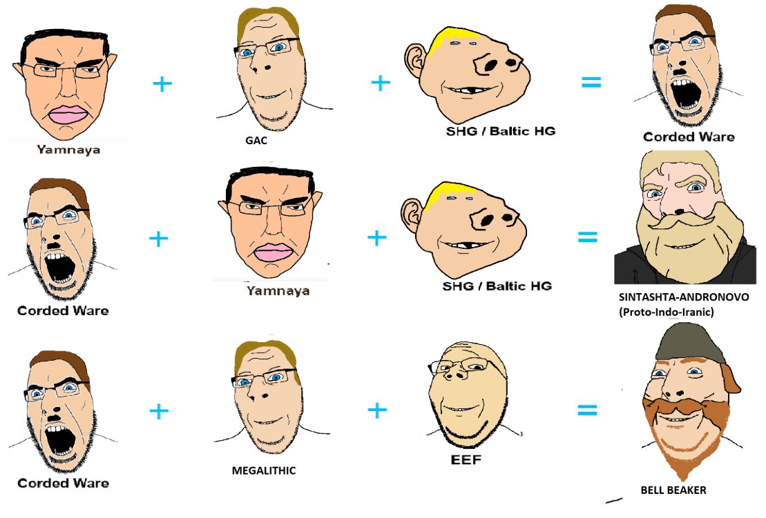 🌊🔆Balearicus🔆🌊 tweet media