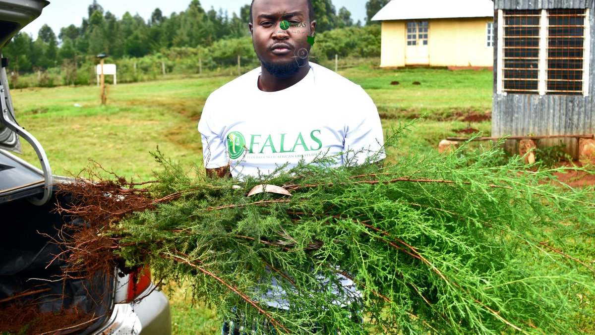 Federation of African Law Students 🇰🇪 tweet media