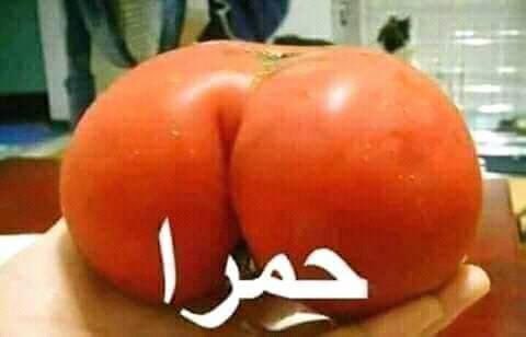 pshlptkn's tweet photo. @shno74 @dr_madridy https://t.co/77JSEOmvYf
