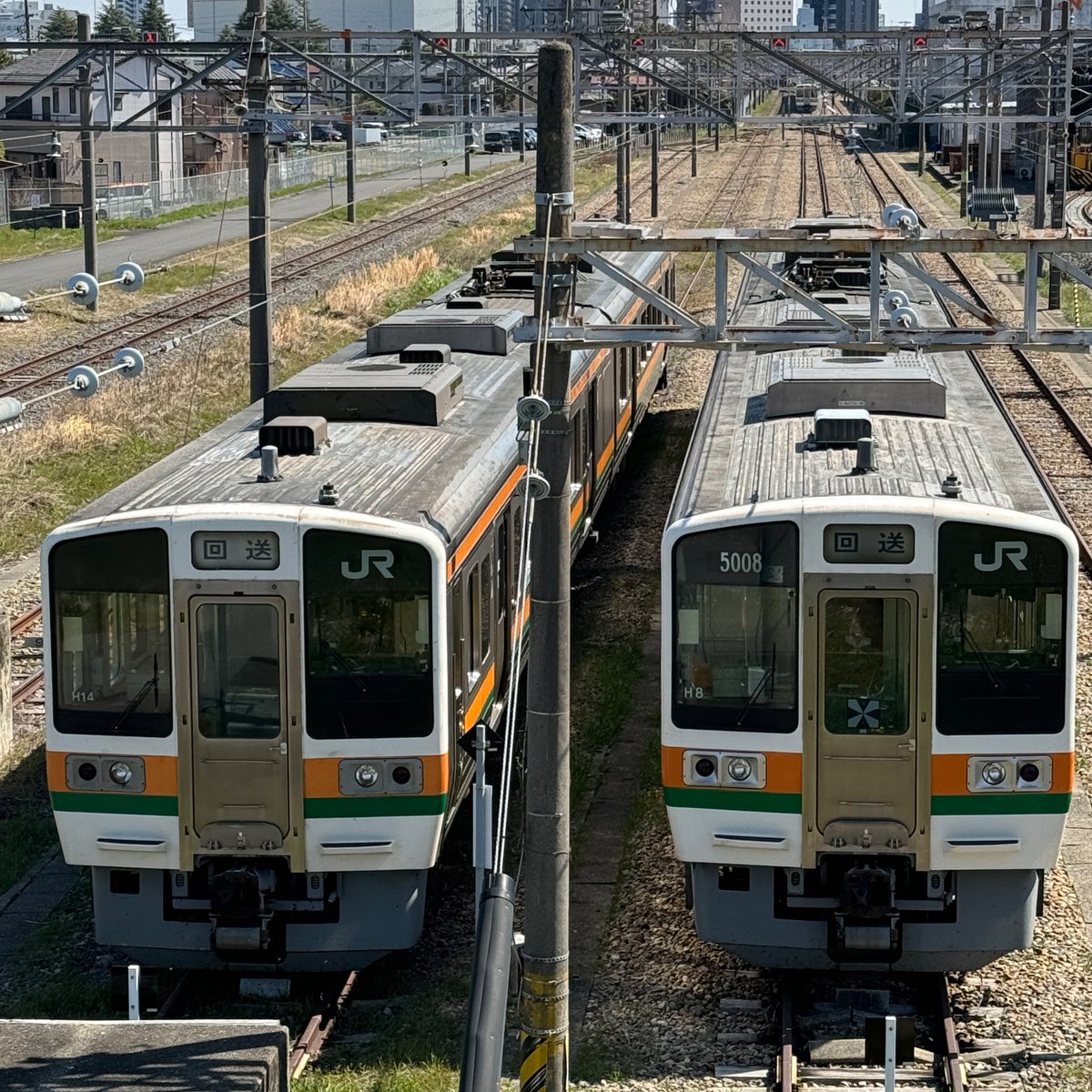 maguron5 tweet picture