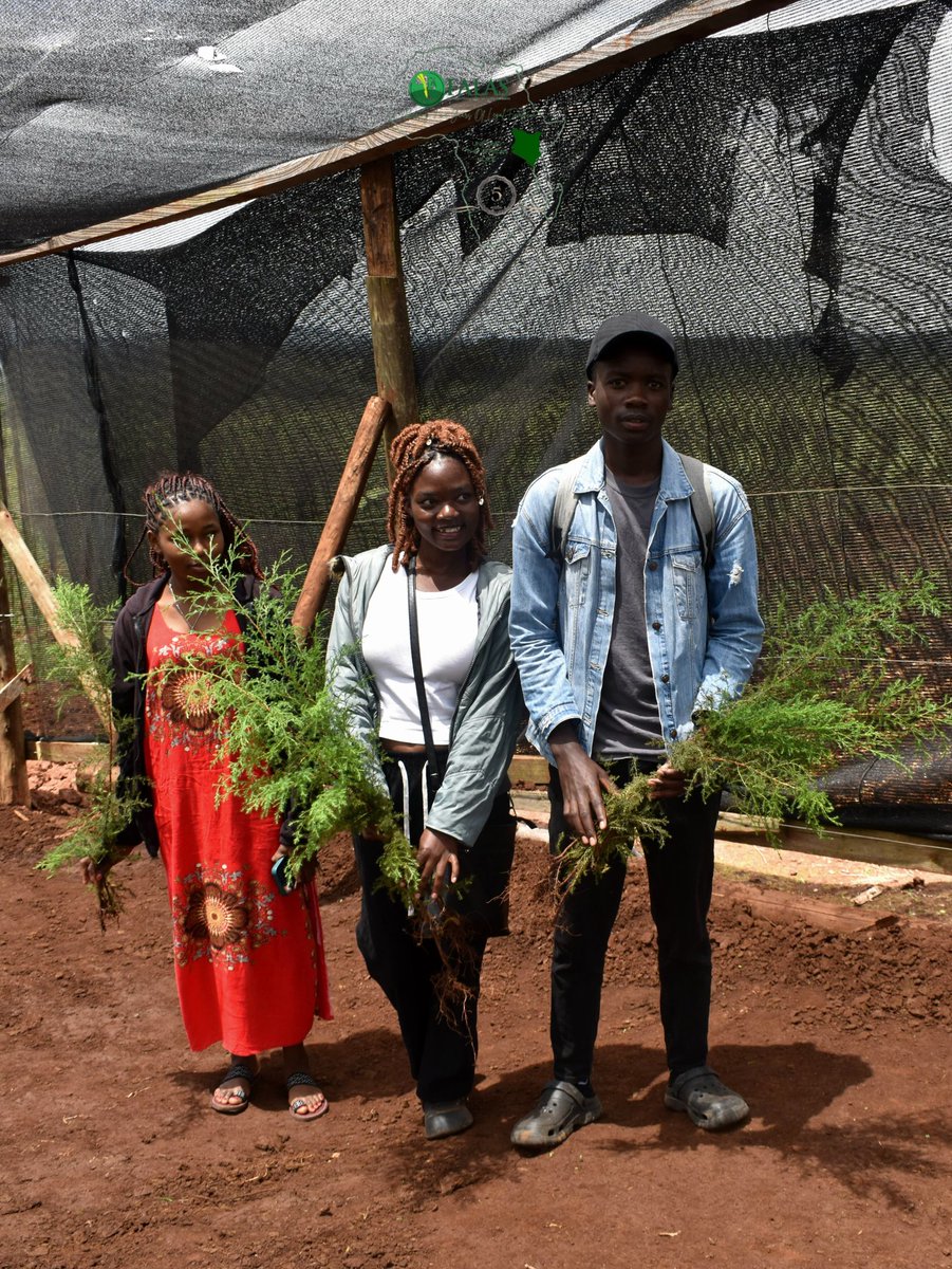 Federation of African Law Students 🇰🇪 tweet media