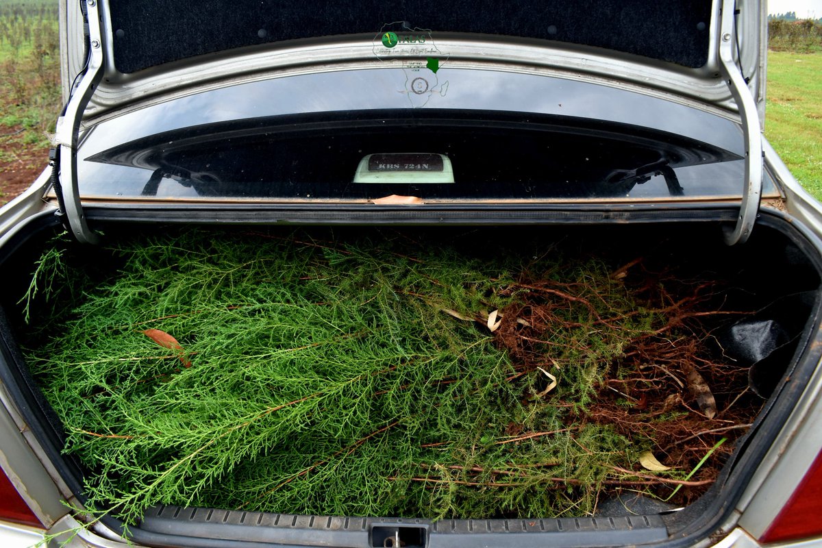 Federation of African Law Students 🇰🇪 tweet media