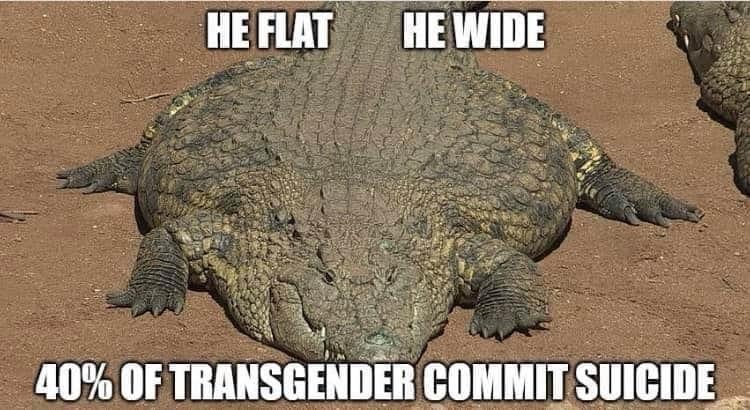 Rothmus 🏴 tweet media