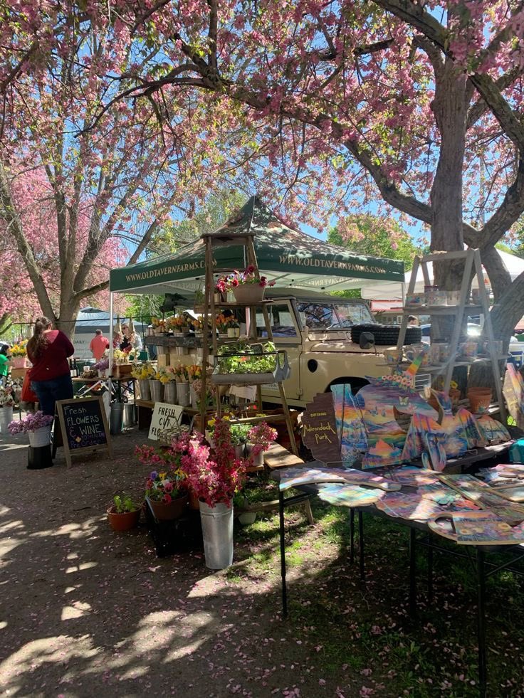 tashanna🐆 tweet media