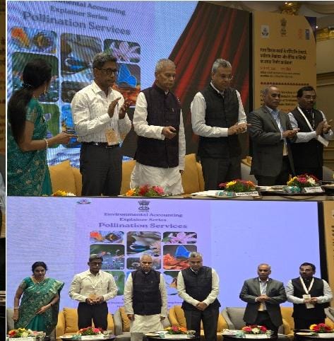 Ministry of Statistics & Programme Implementation tweet media