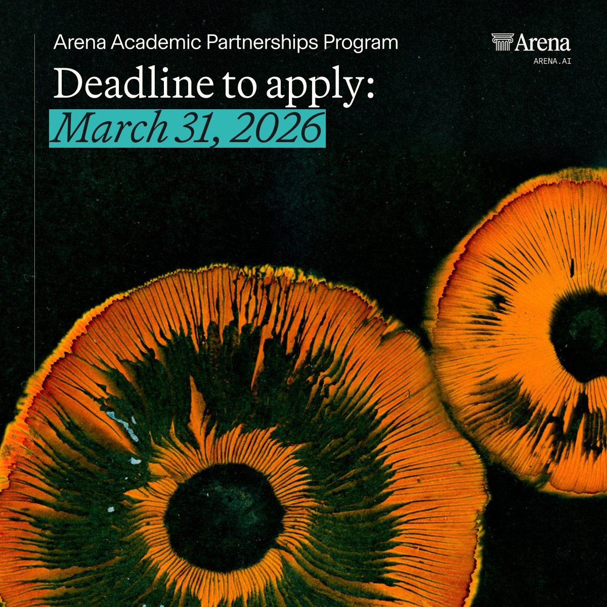 Arena.ai tweet media