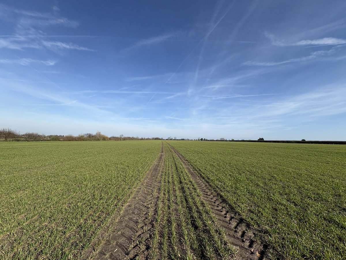 Agronomysilvers's tweet photo. Cereals and WOSR starting to move now with the better weather 👌👌 @AgriiUK https://t.co/uLOzTHnnCH