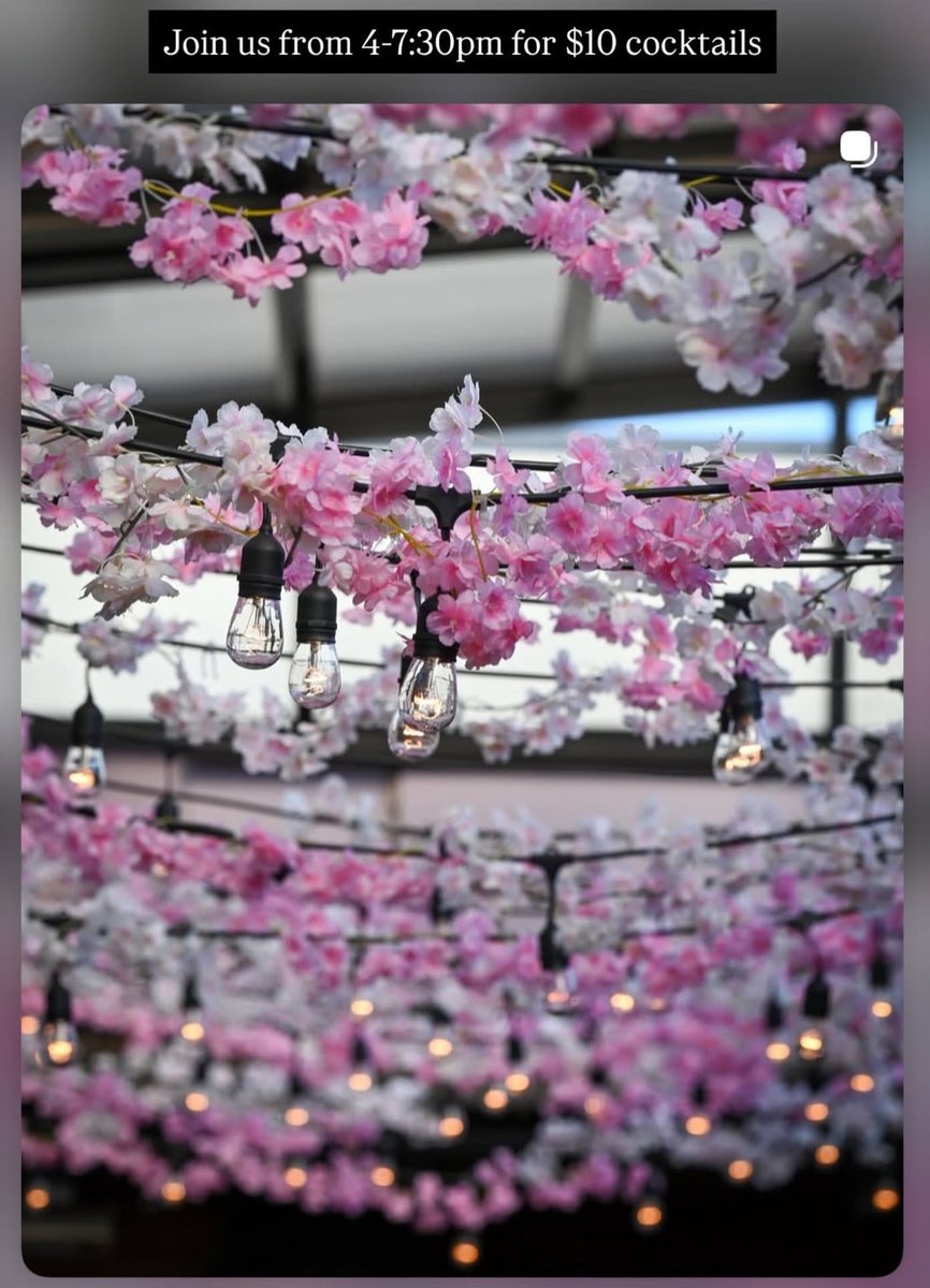 Adams Morgan News tweet media