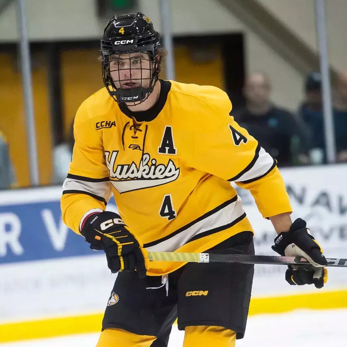 Texas Stars tweet media