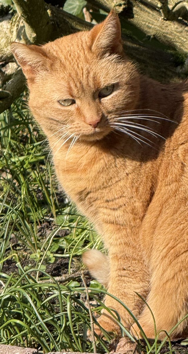 Karen Dagen tweet media