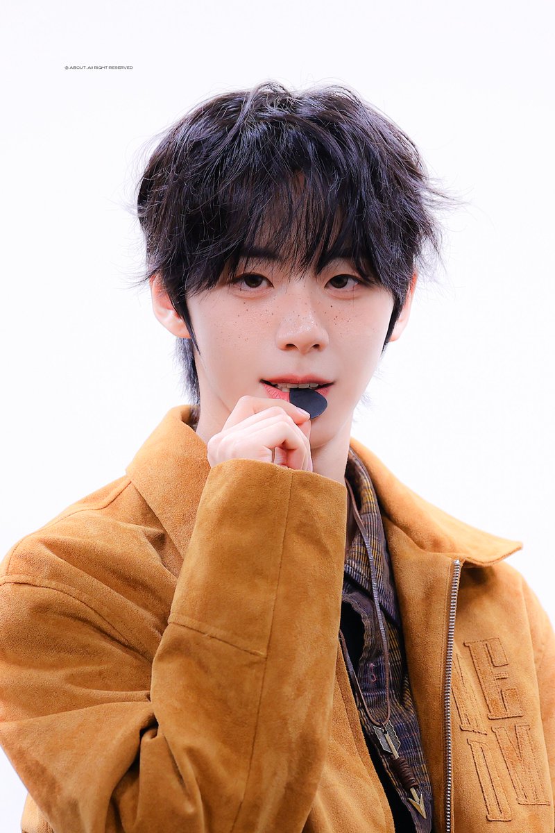 다오 tweet media