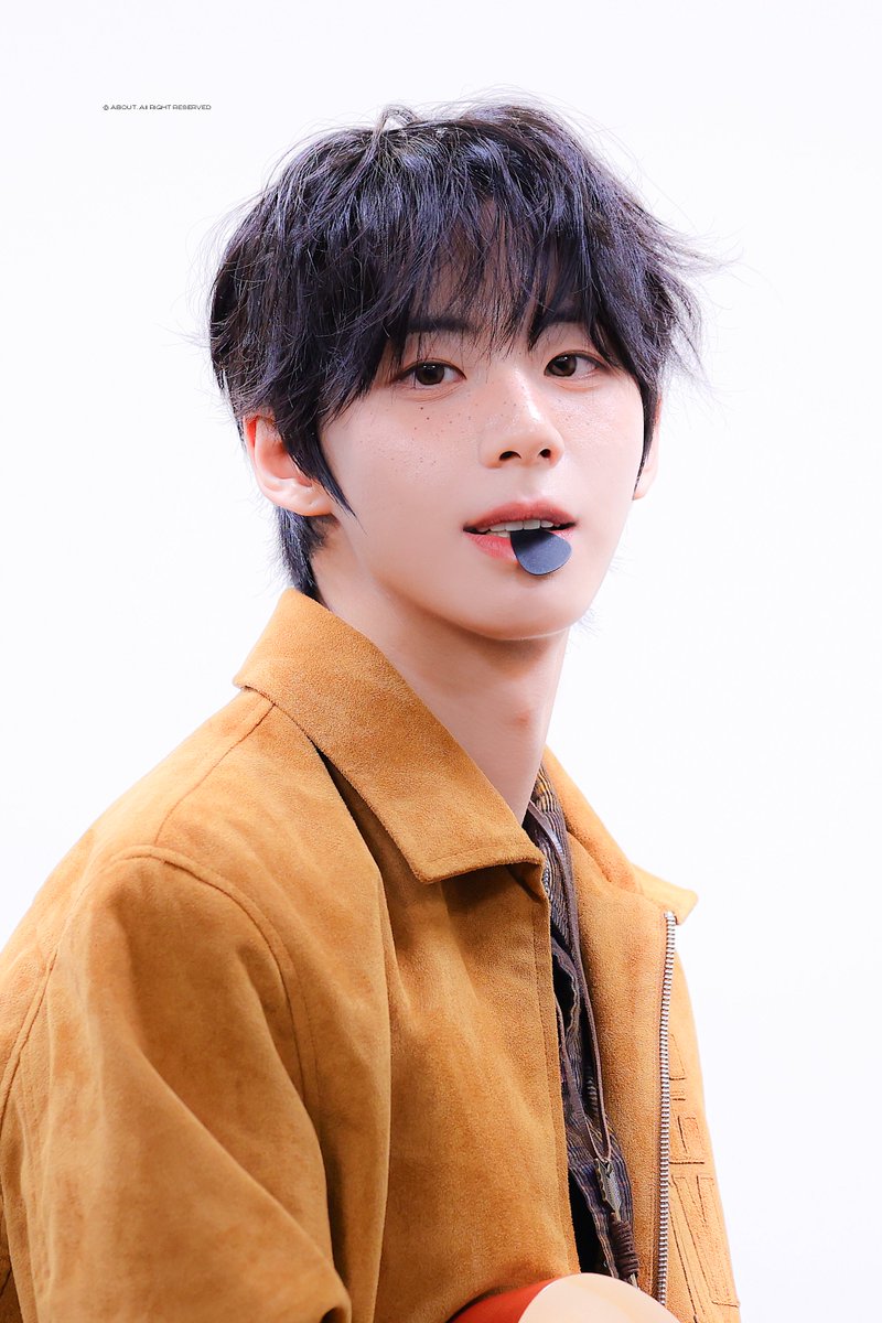 다오 tweet media