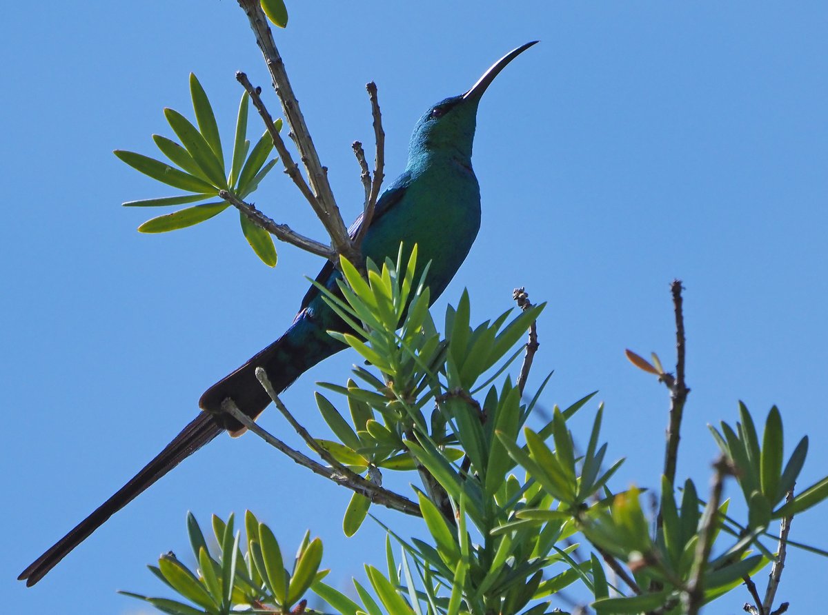 Brian E.Carruthers tweet media