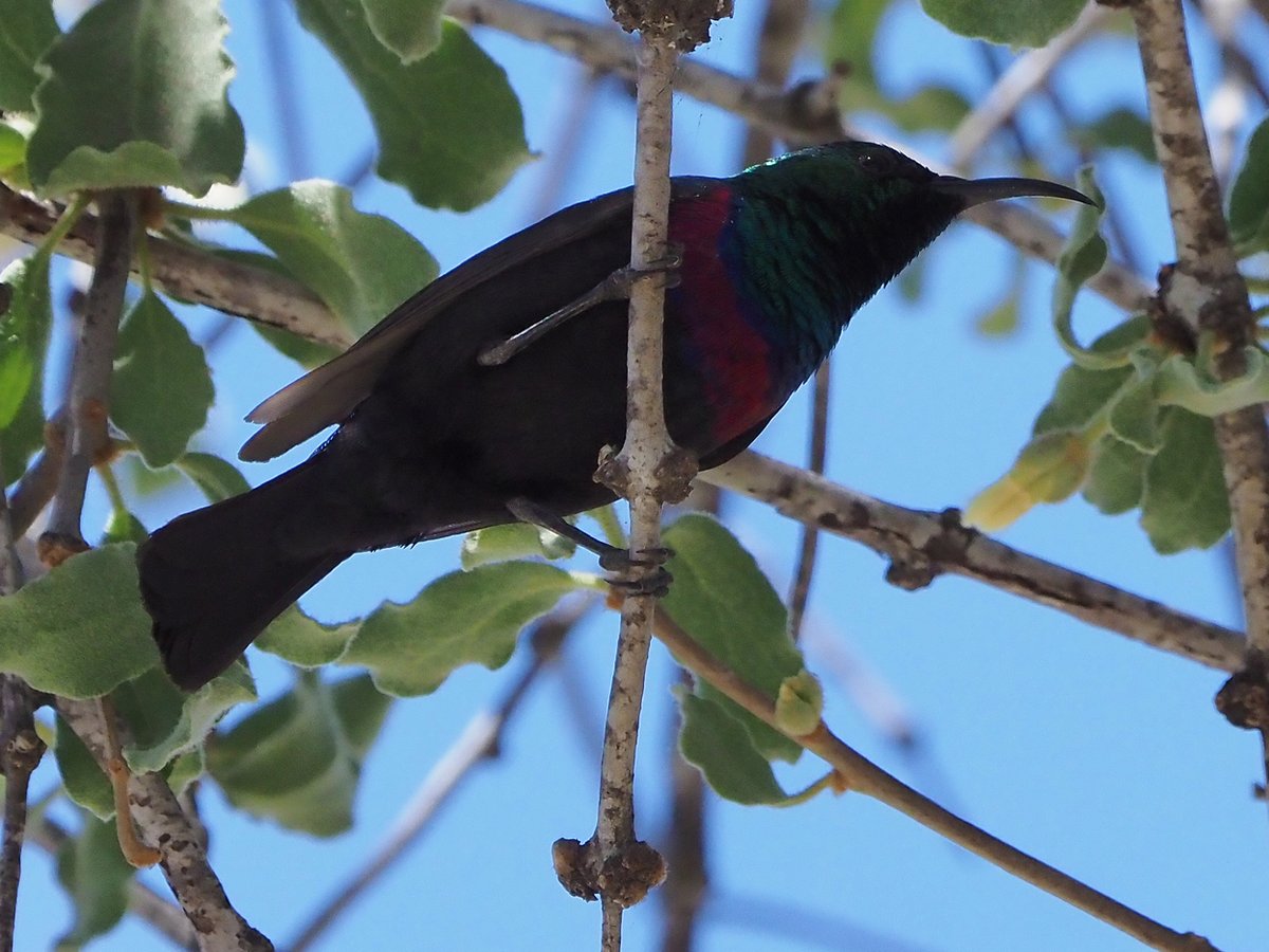 Brian E.Carruthers tweet media