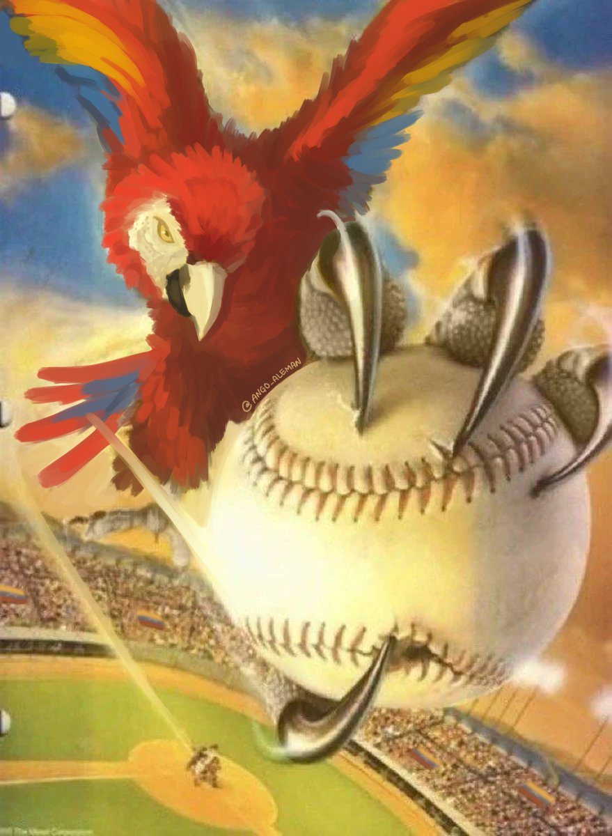 ang 🥭 comms open tweet media