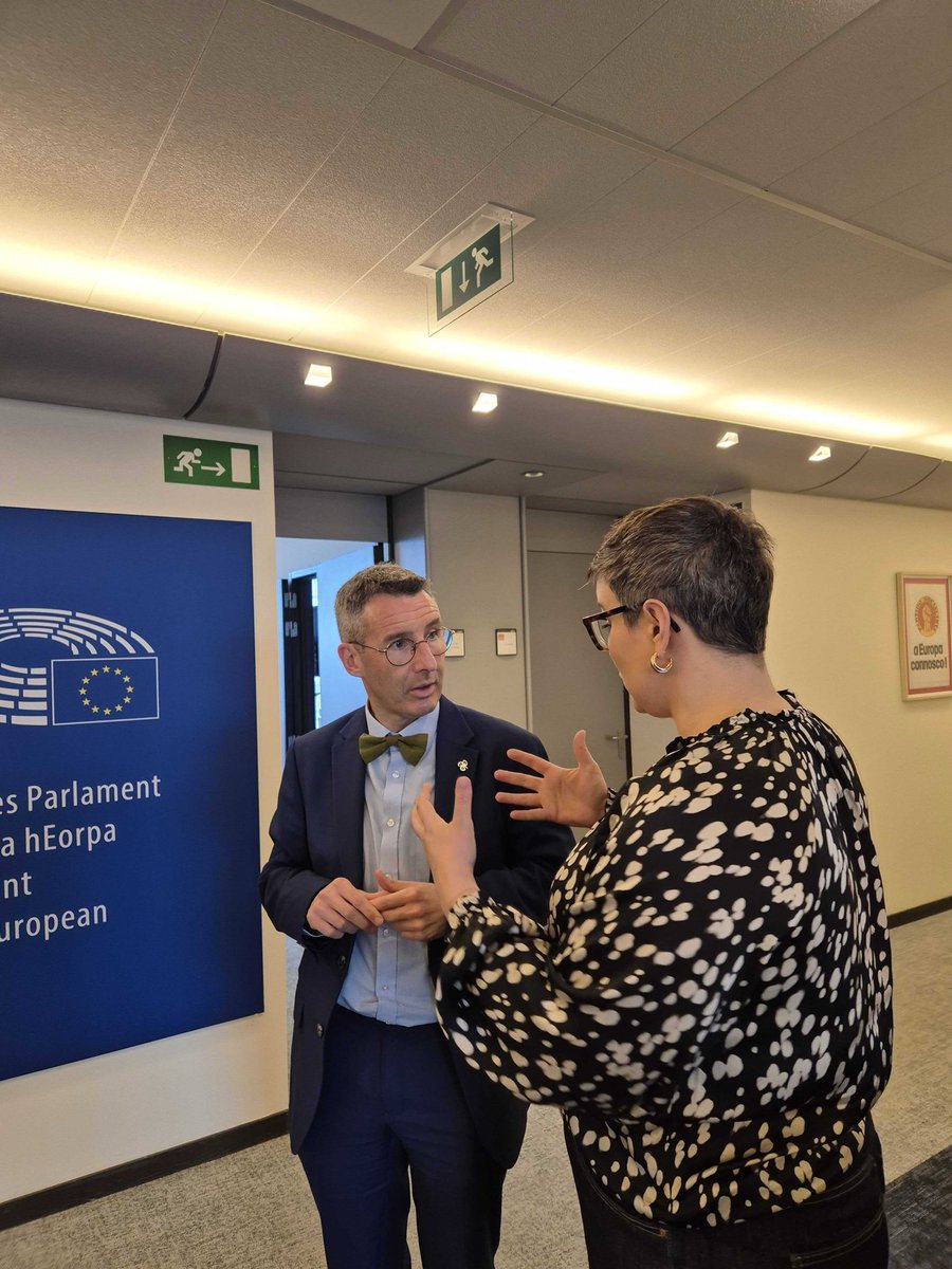 Maria Walsh MEP tweet media