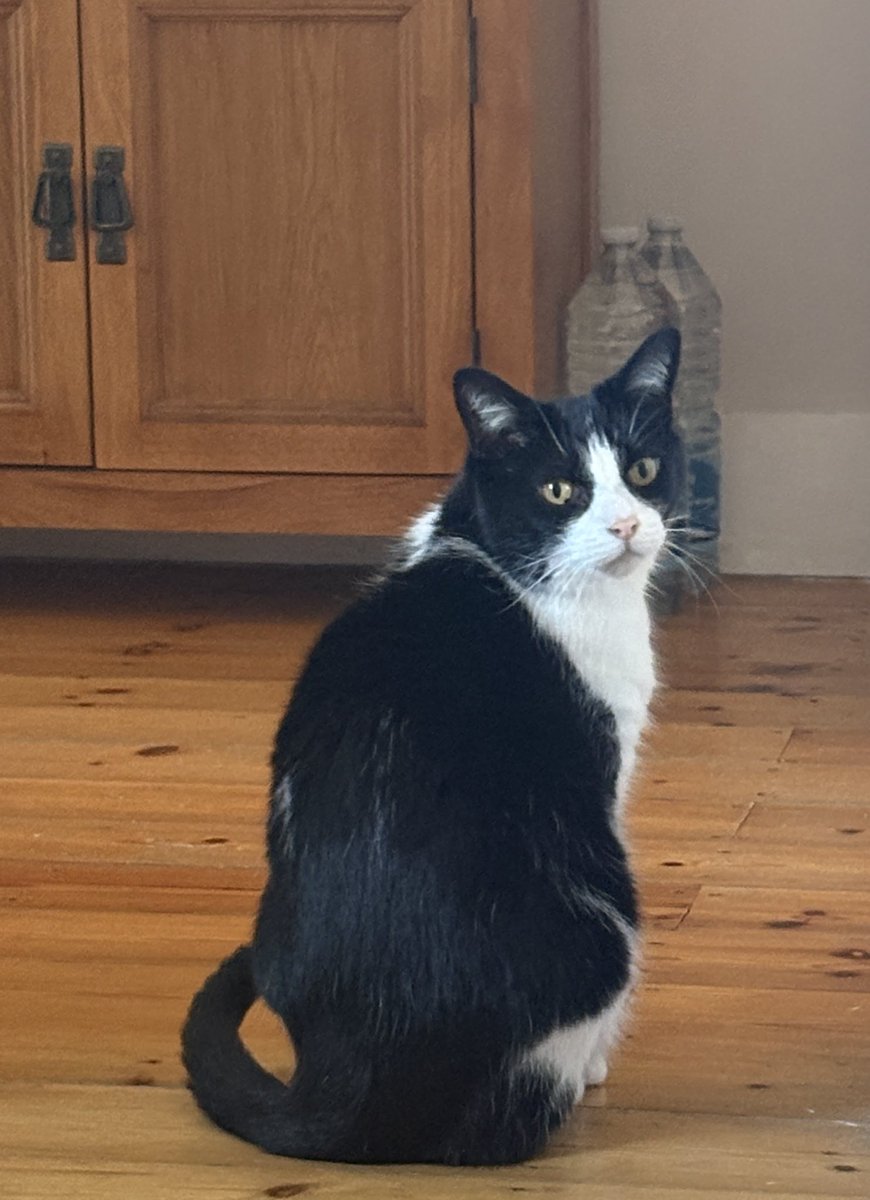 James, Willoughby, Oliver tweet media