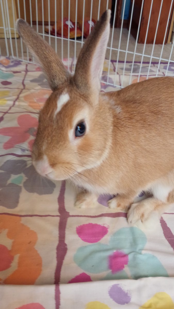 おチビだった頃の柚ﾁｬﾝ❤️
可愛いでしょ？
完全に親ばかです🤭