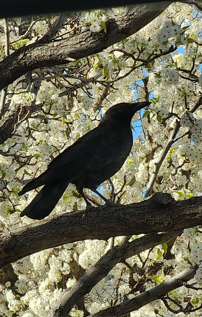 Jenn Romano 🌻 tweet media