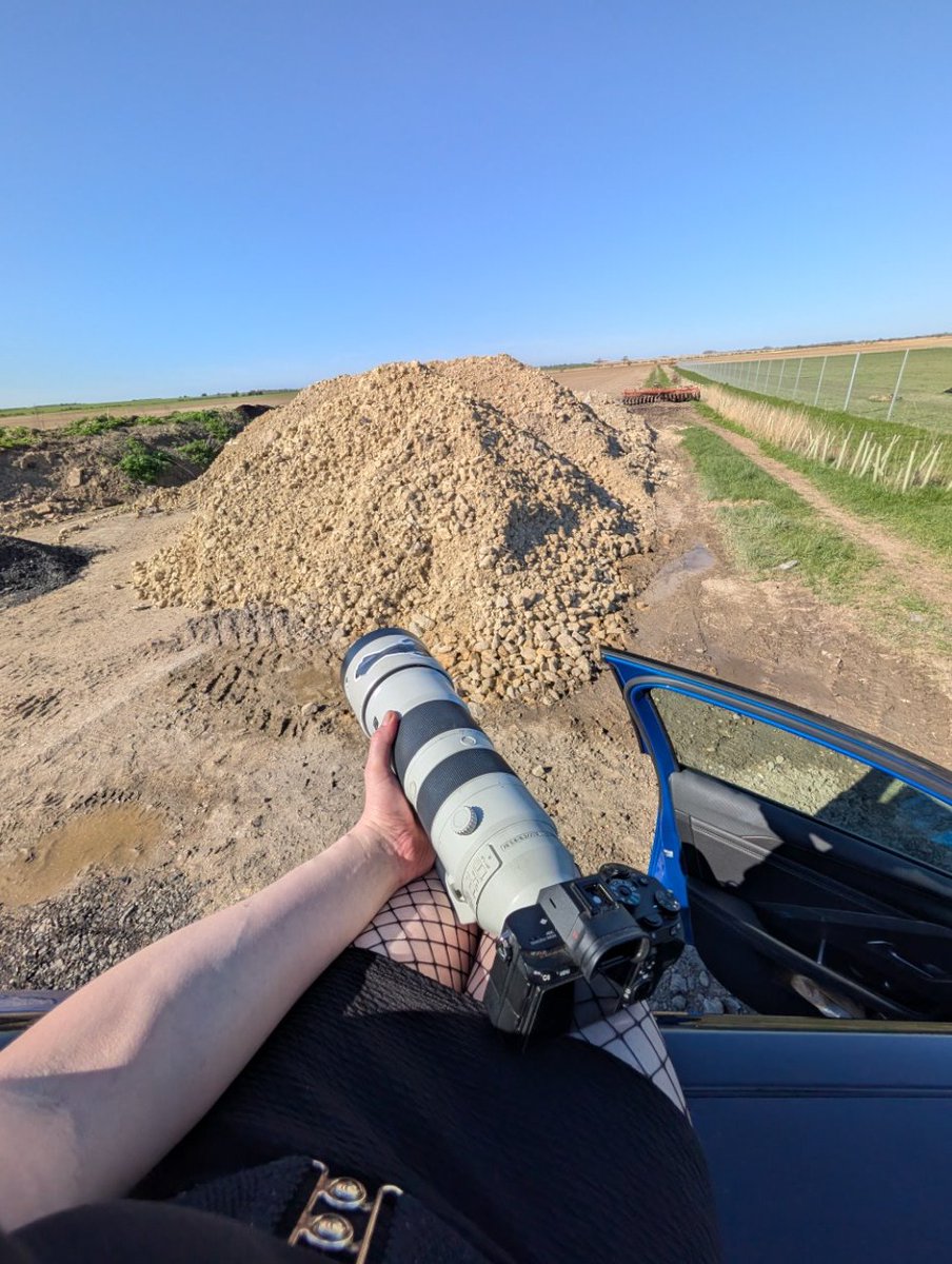 Mallory Sparks tweet media