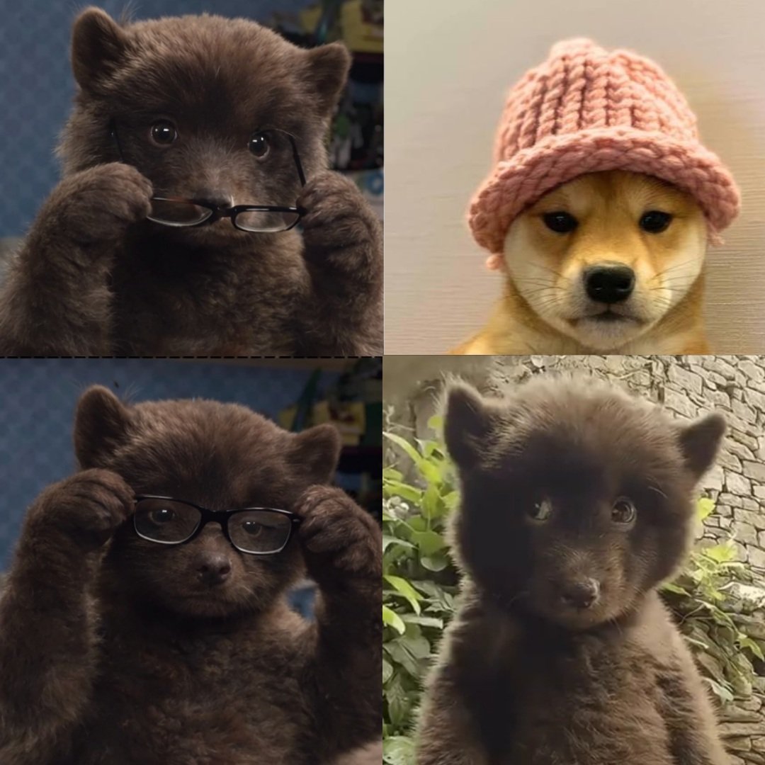 Pearl Community tweet media